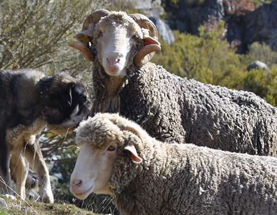 la reserva de la biosfera